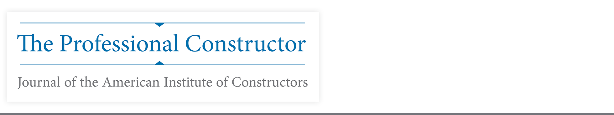 The Professional Constructor