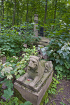 PREOBRAZHENSKOE JEWISH CEMETERY, SOUTH AREA by William C. Brumfield