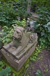 PREOBRAZHENSKOE JEWISH CEMETERY, SOUTH AREA by William C. Brumfield