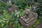 PREOBRAZHENSKOE JEWISH CEMETERY, SOUTH AREA by William C. Brumfield