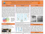 Development of a Rapid SARS-CoV-2 Nucleocapsid Assay using Buoyant and Magnetic (BAM) Beads by Spasenija Radenovic, Zahra Karimpourkalou, Chaunlei Wang, and Jeffrey N. Anker