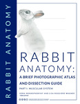 Rabbit Anatomy: A Brief Photographic Atlas and Dissection Guide - Part I: Muscular System (Third Edition) by Soma Mukhopadhyay and Lisa Ruggiero Wagner